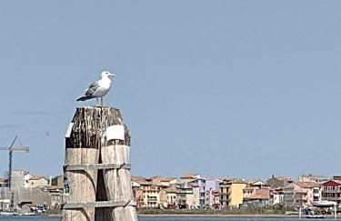 Casa della nonna - Foto 3