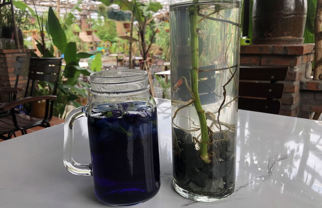 Bau Bi Mini Farmstay Mekong - Tien Giang - Foto 22