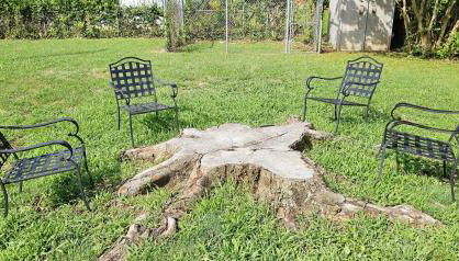 Louisville Getaway Bourbon Trail, Zoo, & More! - Foto 5, Garden