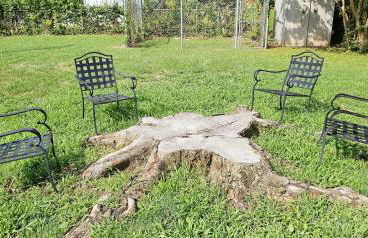 Louisville Getaway Bourbon Trail, Zoo, & More! - Photo 5