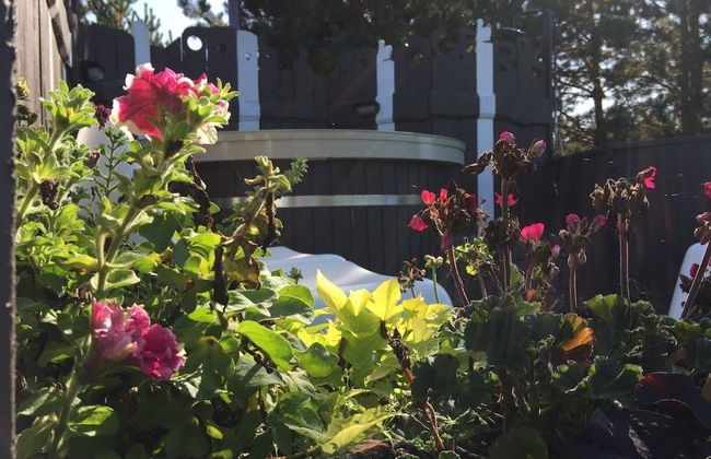 Kaimo Turizmo Sodyba Geras - Foto 77