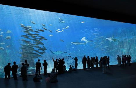 Gîte 12 personnes - Le Domaine - Wimereux - Foto 18