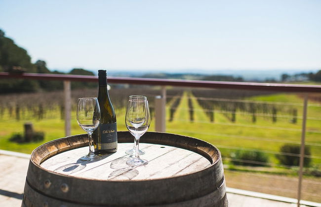 The Sampson - Orange - Foto 47