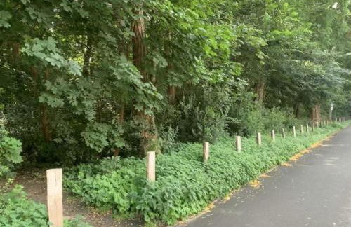 Am Nordglacis - Foto 17