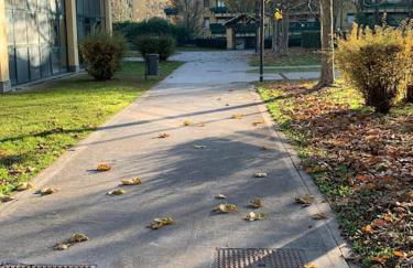 Apartment+garage near Novegro Exhibition/Linate - Photo 32