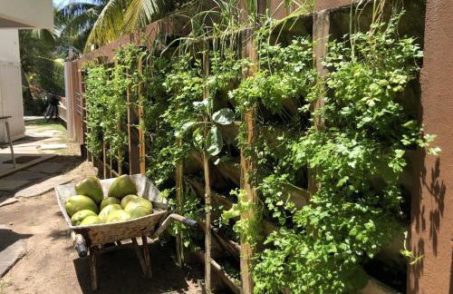 Casa de Praia em Interlagos - 4 suítes a poucos metros do mar - Foto 39