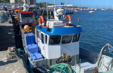 Douro Marina Studios - Foto 23