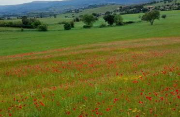 Appartamento la Speranza - Foto 25