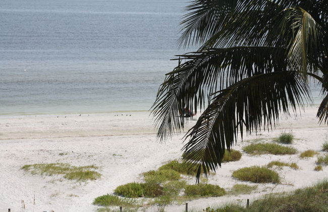 Ocean's Reach Condominiums - Foto 62