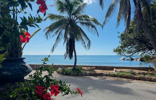 Sea Splash & La Petite Maison - Foto 68