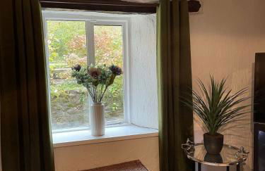 Penddol Cottage Llangollen - Photo 18