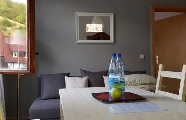 Art Apartment - Harz - Foto 42