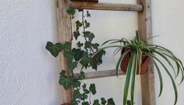 Garberhof-Stocker - Photo 2