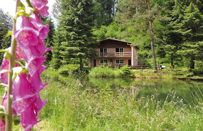 Holiday Accommodation in the Zorn Valley - Foto 19