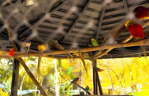 ASA | Villa Esmeralda | Pub | Piscina | Riacho - Photo 21