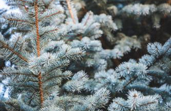 Ξενώνας Βυσωκά - Foto 47