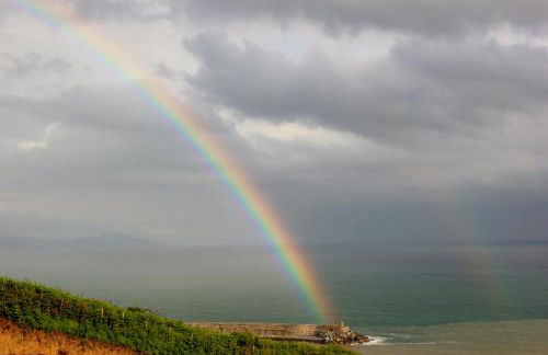 Gure ametsa - Foto 17