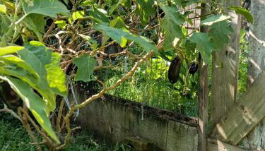 Refúgio Sereno São Seba - Foto 2