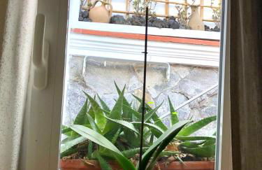 TAVERNETTA SUL PORTO - Photo 15