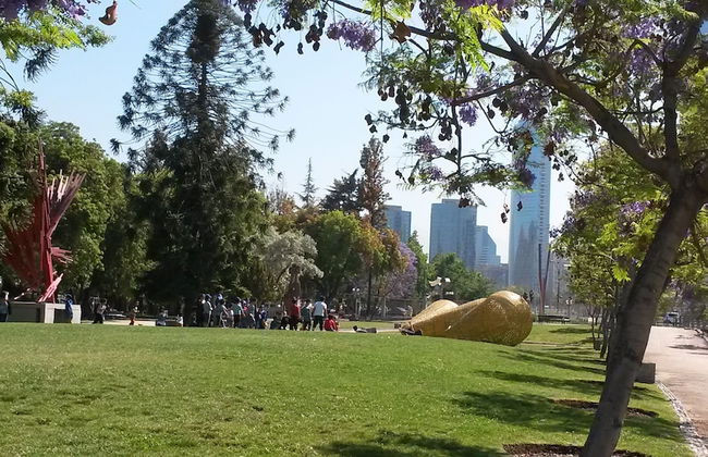 Park Plaza Apartments - Foto 39