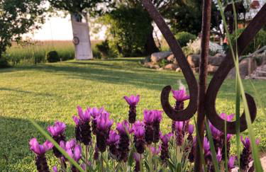 Ferienwohnung Thiergarten - Foto 26