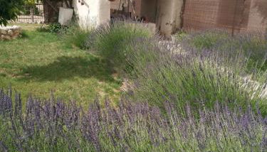 Casa Rural Alamar II - Foto 4