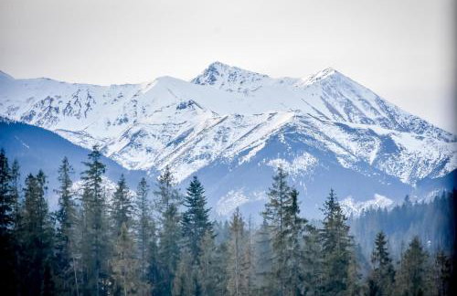 Domki Wiśta Wio - Foto 5