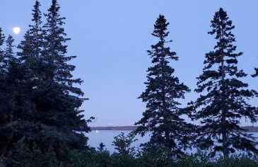 Eco-Friendly Peaceful Cabin with Lofted Interior and Water Views in Maine - Foto 15