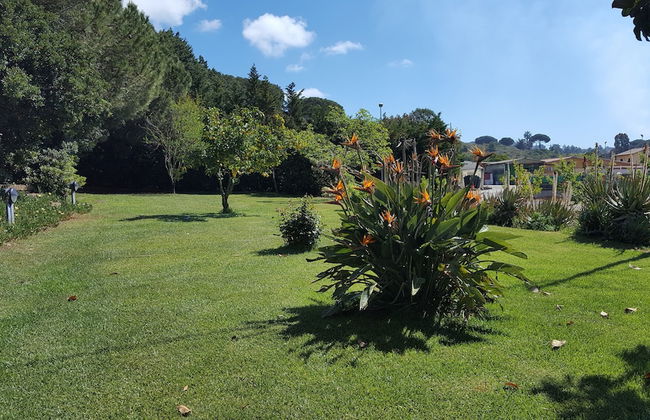 Agri Rebua - Foto 27