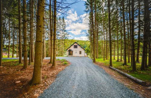 Waterfront Home with Kayaks, Trails and Petting Zoo! - Photo 24