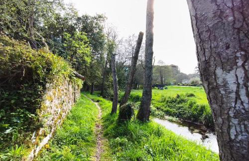 Apartamentos MinusKa con jardin y a tan solo 10 min andando a Llanes - Foto 80