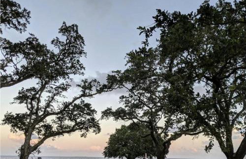 Steps from the Sand and Town Green - 2BR Coastal Retreat - Foto 25