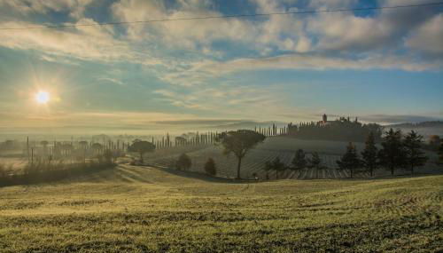 Agriturismo La Ripolina - Foto 1, Garden view