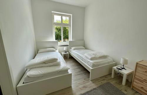 LS FeWo Kröpi 8 in Bad Doberan - zentrumsnah, an der Molli-Zugstrecke - Foto 5