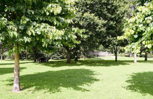 Tree Tops - Photo 13