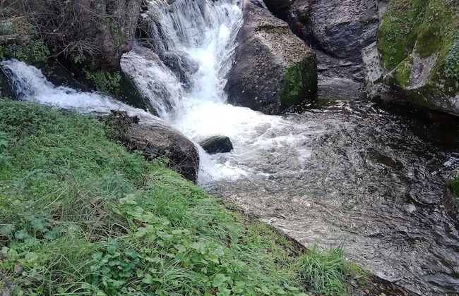 Cottage Aldeia Da Serra - Historic Areas of Portugal - Foto 24