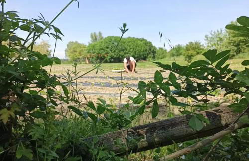 Agrilocanda Val Campotto - Foto 17