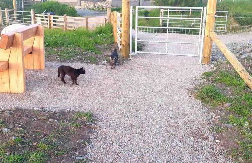 Isla’s Cottage - Foto 10