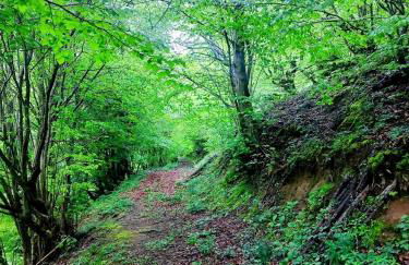 Casa Nayala - Foto 62