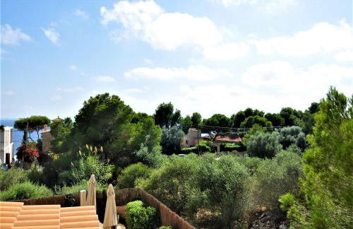 ES PAS- Chalet en Cala Pi muy solicitado - Foto 40