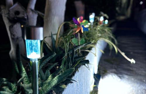 Home Diamond - Photo 18