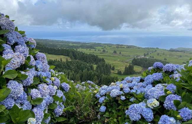 Spacious, Garden, and Private Parking - Foto 18