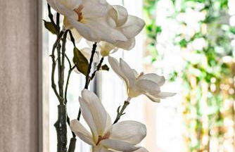 Le Châteaubriand - Parking - Netflix - Photo 27