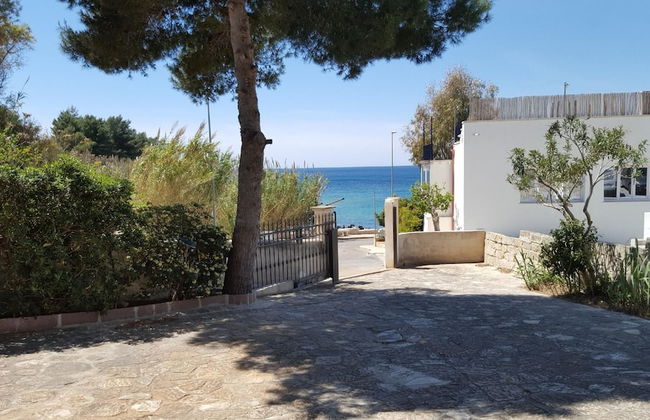 Alfa Est Bilo sul Mare - Foto 18