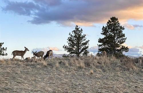 Panoramic Views! The Cozy Fox Cabin in Livermore - Foto 46