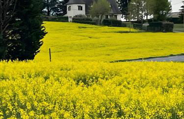 Mobil-home Le Lascaux 23 -5pers - Foto 15