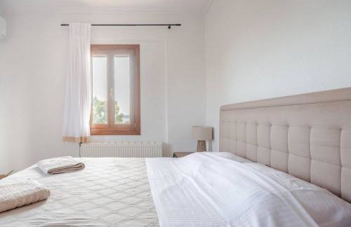 A Fringe Of Blue - Foto 34