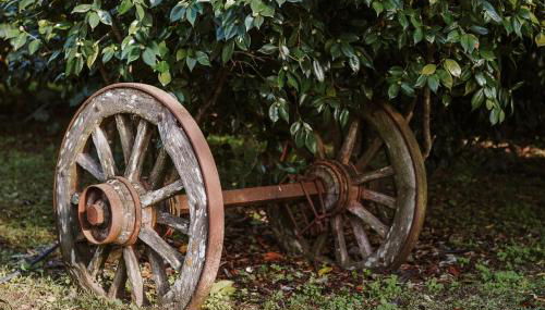 Casa Rural Oliveira do Bairro - Foto 2, Garden view