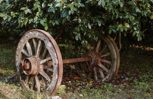 Casa Rural Oliveira do Bairro - Foto 2