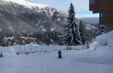 Sul cucuzzolo - Foto 56